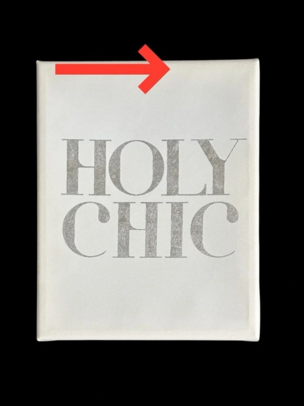 Pier 1 Imports “HOLY CHIC” White and Silver Canvas Wall Art